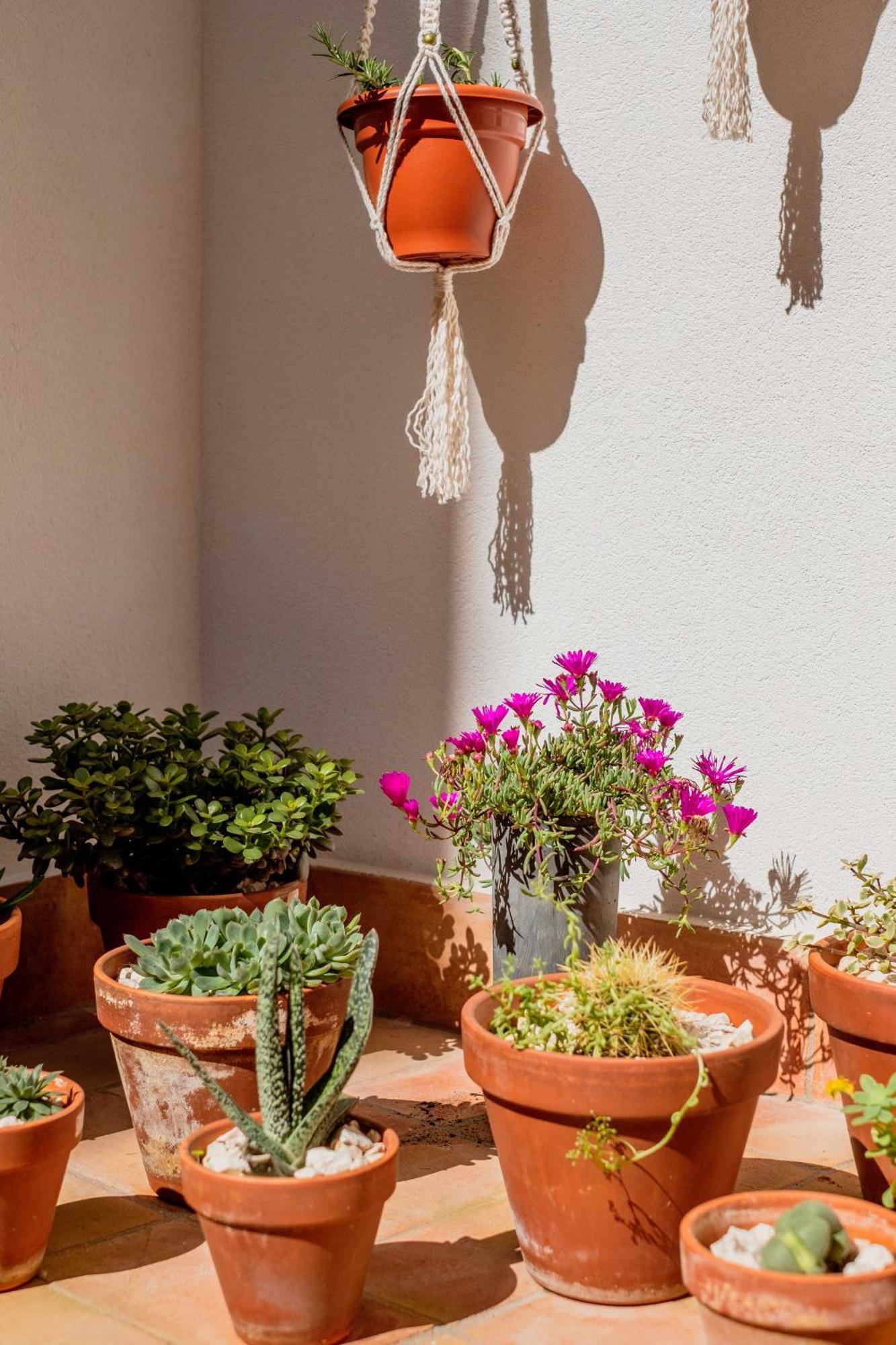 Casa Creativa Lagos Exteriér fotografie